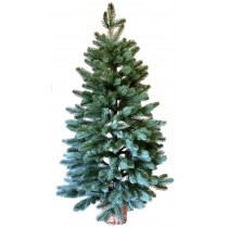 Ялина лита блакитна 1,1 м у горщику з лози